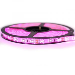 Image de SysLED Kit Ruban Professionnel 3528 - 60 leds/m - 1m, 2.5m, 5 ou 10 mètres au choix - Rose anti-éclaboussure (IP65) | Transformateur: Alimentation