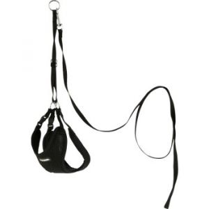 Kerbl Harnais pour Chiot avec Laisse Noir 24-44cm / 10mm