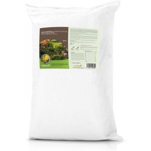 Cultivers - roca phosphomique ecogic 20 kg