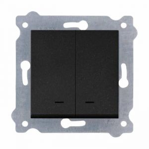 Interrupteur double avec t&eacute;moin lumineux noir m&eacute;tallis&eacute; 203/14E EXEN