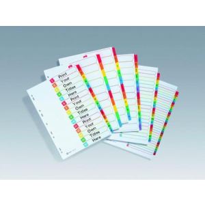 Avery-Zweckform 05293501 - Intercalaire Mylar 12 touches mensuelles (A4+)