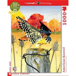 Puzzle 1000 piÃ¨ces : CrÃ©cerelle d'AmÃ©rique