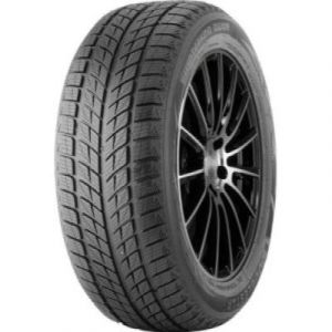 Double Star DW09 - 245/45 R18 96T
