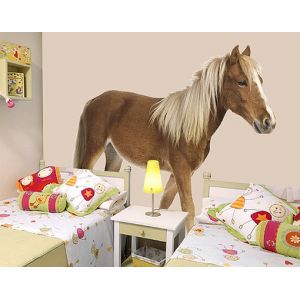 Image de Bilderwelten Sticker mural Poney - Dimension: 30cm x 30cm