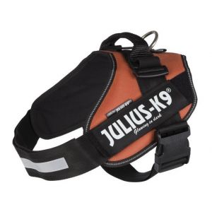 Julius K9 Harnais Power IDC 2 - L-XL : 71-96 cm-50 mm Orange cuivré