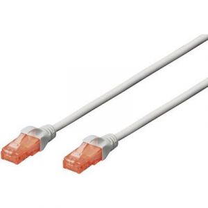Digitus C&acirc;ble de raccordement r&eacute;seau RJ45 CAT 6 U/UTP Professional 15m