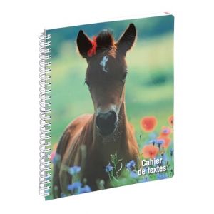 Exacompta 999168E - Cahier de textes Animaux - 17 x 22 cm - Visuel poulain