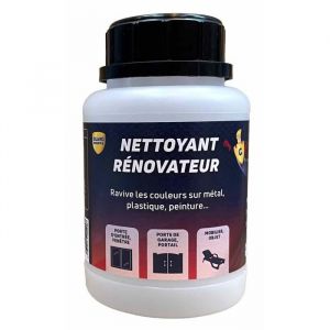 Guard Industrie Nettoyant Rénovateur - Ravive Couleurs Peinture, Plastique, Métal – Antitache 5 ans – 250 ml-Traite 10 Portes et 2 Fenêtres
