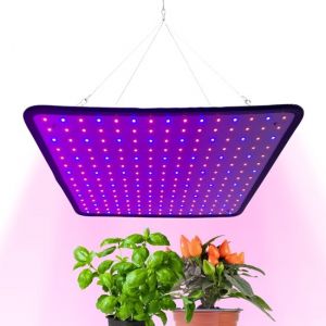 a sunny day LED grow light - lampe de culture - acc&eacute;l&egrave;re la croissance et le d&eacute;veloppement - lampe de culture rouge bleu - 45 Watt - 30 x 30 cm - 225 LEDs