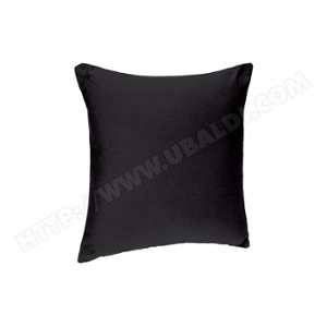 Image de Coussin Dehoussable 38x38cm Noir