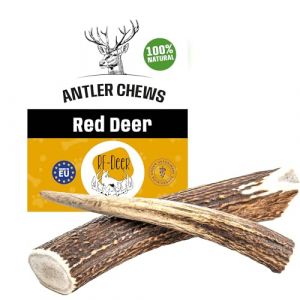 RF - DEER Bois de Cerf Taille XL Jouets à mâcher naturels pour Chiens Version Hard