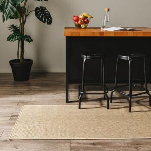 Benuta Tapis de couloir ext&eacute;rieur & int&eacute;rieur beige 80x250