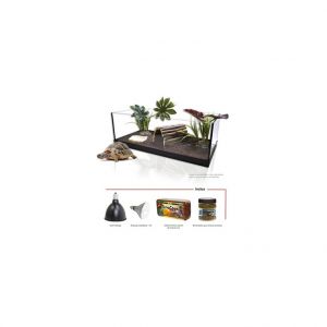 Aquavie Kit terrarium tortue terra 60 de 61 x 31 x 21 cm