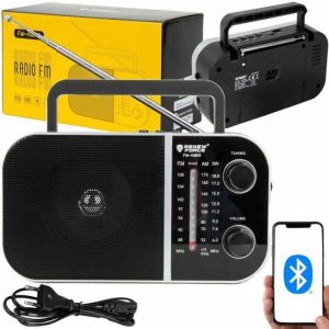 Radio portable - RENEW FORCE - FM-AM610 - Bluetooth - USB - Noir