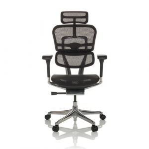 hjh OFFICE Chaise de Bureau Ergonomique ERGOHUMAN GEN2 Design Original, Fauteuil de Bureau avec Soutien Lombaire Flexible, Filet Noir