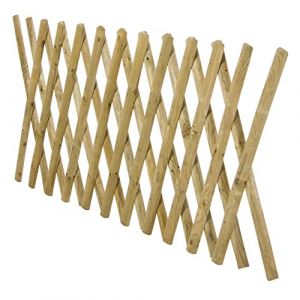 Examen extensible mt 100x250 impr&eacute;gn&eacute;