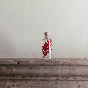 Th&eacute;ophile Berthon Plante immerg&eacute;e Ruscus rouge H12