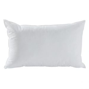 Oreillers antiacariens 30% duvet de canard neuf