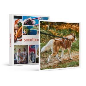 Smartbox 2h de Cani-Balade en famille près de Valence Coffret Cadeau Sport & Aventure Multicolore - Couleur Multicolore - Taille Taille unique