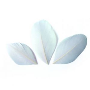 Graine Créative Plumes blanches coupées 6 cm 3 g