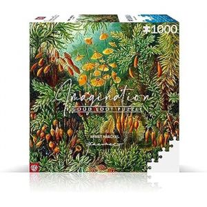 Ernst Haeckel puzzle Imagination Muscinae (1000 pi&egrave;ces) - Good Loot Puzzle - GOLO-23964