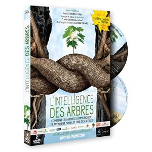 Image de L'intelligence des Arbres 2 DVD - avec Peter Wohlleben