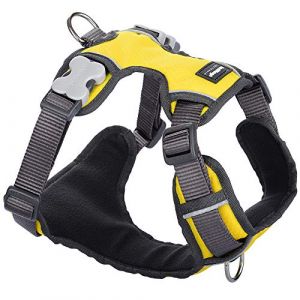 RedDingo Harnais Rembourre pour Chien Jaune Taille M
