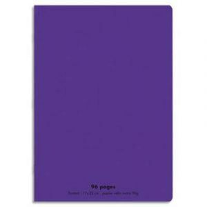 Visiodirect Lot de 10 Cahiers piqûre, 96 pages, Grands carreaux Seyès, Format 21 x 29,7 cm, Couverture polypro VIOLET