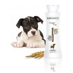 Biogance Protein Plus Shampooing pour chien