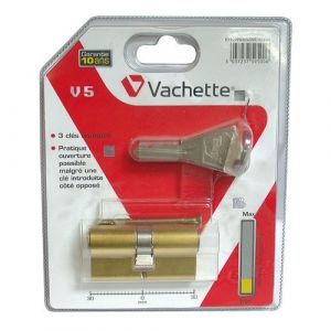 Vachette Cylindre européen - 30x30 mm + Clé de secours