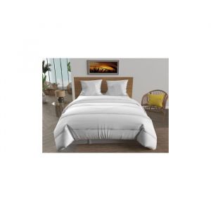 Soleil d'Ocre Couette blanche 240x260 cm LUXE 550 Gr, par