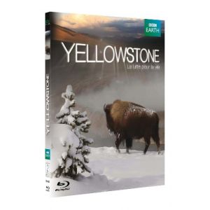 Yellowstone - La Lutte Pour La Vie