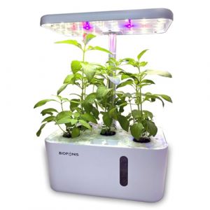 Potager Bioponis Eden