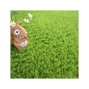 D&eacute;coweb Gazon synth&eacute;tique Fontainebleau - 30mm - Rouleau de 3m x 10m