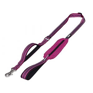 Nobby Laisse pour chien Pet Kalea