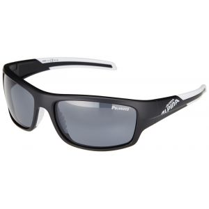 Image de Alpina Testido P - Lunettes Lunettes vélo 2016