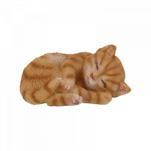 AC-Déco Figurine de chat endormi en polyrésine - L 14 x P 10 x H 6,5 cm - Modèle aléatoire