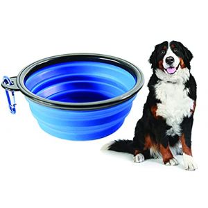 G-Motions PARENCE - Gamelles de Voyage pour Chien et Chat, Pliable en Silicone / Certifié sans composant Volatile (Bleu)