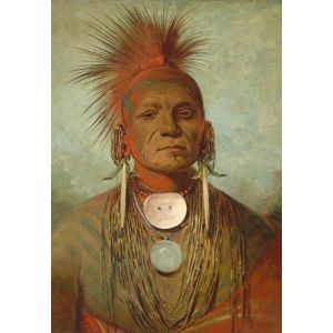 Grafika Puzzle George Catlin : See-non-ty-a, Homme Medecine de l'Iowa Medicine Man, 1