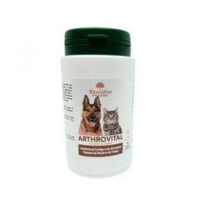 Arthrovital 120 Comprimés Articulation Chien et Chat & Anti Arthrose - Mobilité Articulaire - Toutes Races - Tout Ages