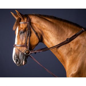 Dyon R&ecirc;nes pour cheval en cuir et nylon Dy'on 5/8