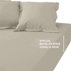 Drap-housse grand bonnet XL Coton TERTIO - Gris Galet