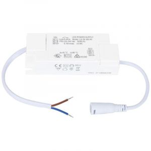 TechBrey Driver EAGLERISE 220-240V Sortie 67-100V DC 300mA 30W No Flicker LS-30-300RI 30 W