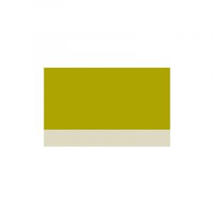 Herbin Les Encres aquarelles Eclats, 50 ml, Vert olive
