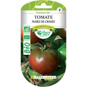 Les doigts verts TOMATE Noire de Crim&eacute;e Bio