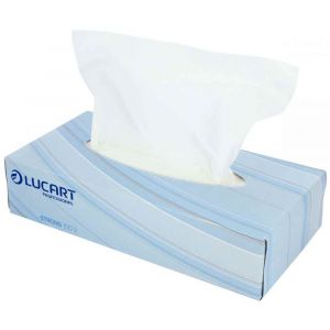 Budget Mouchoirs 2 plis - Boite de 100