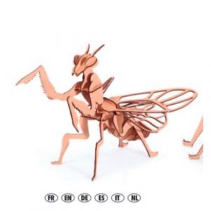 Graine Créative Maquette 3D Mante religieuse en bois