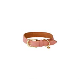 Image de Collier pour chien en cuir vegan Kentucky