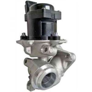Hella Vanne EGR 6NU 010 171-101