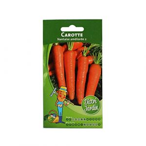 Carotte Nantaise am&eacute;lior&eacute;e 2